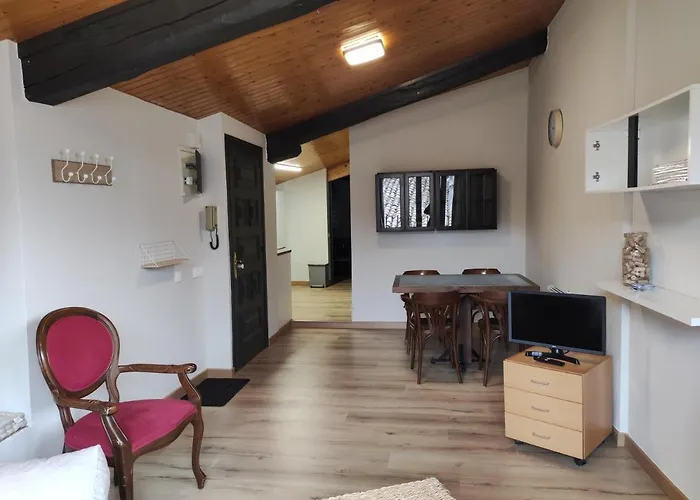 Apt 3 Atic Acollidor Al Centre De Vic - Aptgarbi